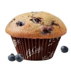 Blueberry Muffin