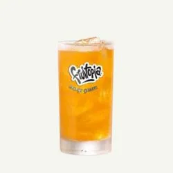 Fruitopia Orange Groove