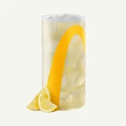 Lemon Fruit Splash
