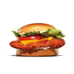 Spicy Crispy Chicken Sandwich with Cheese